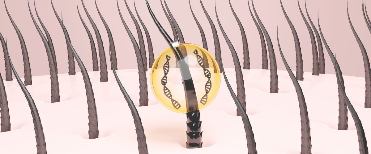 طرز تهیه اسپری رزماری برای مو در خانه تقویت فولیکولهای مو و جلوگیری از ریزش